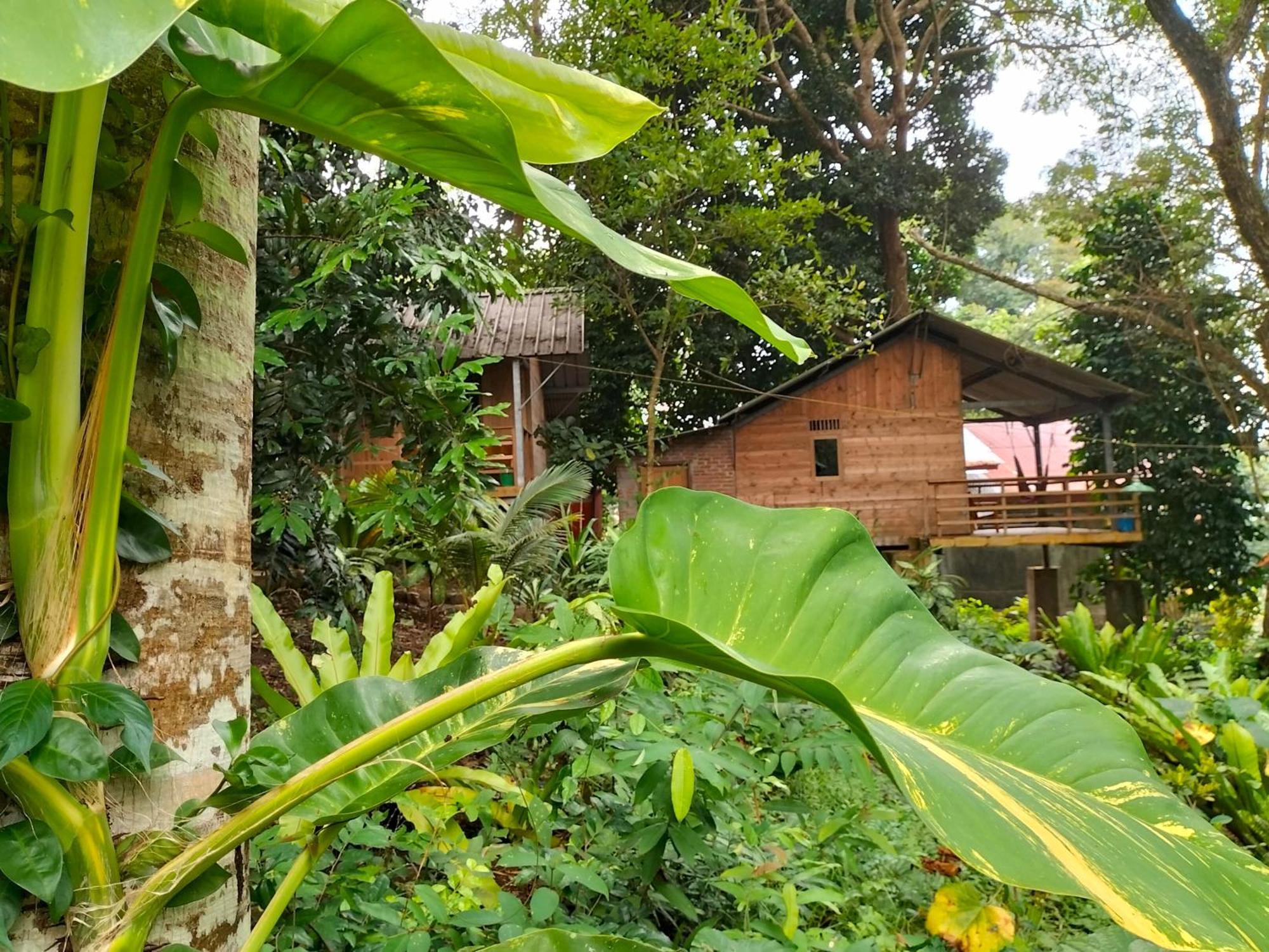Santi Garden Bungalows Iboih Exterior photo